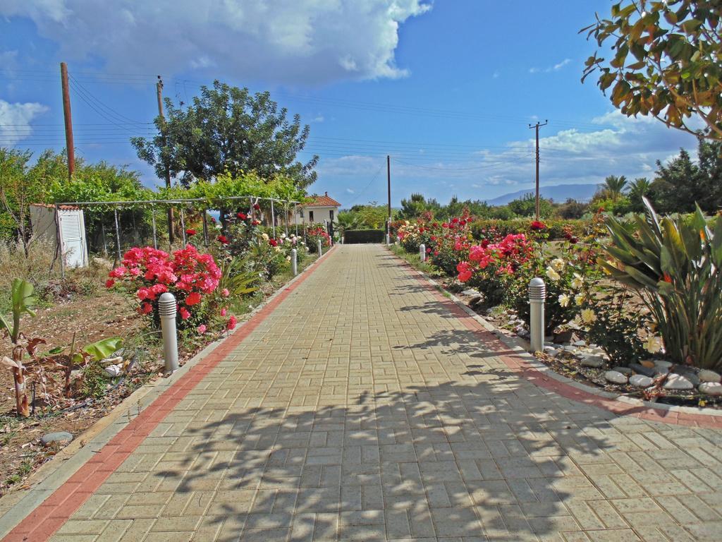 Eliofos Luxury Villa Polis Dış mekan fotoğraf