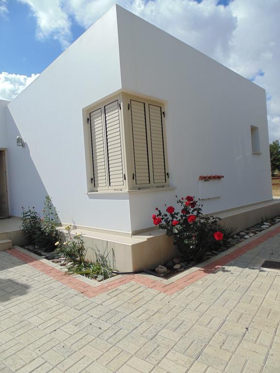 Eliofos Luxury Villa Polis Dış mekan fotoğraf