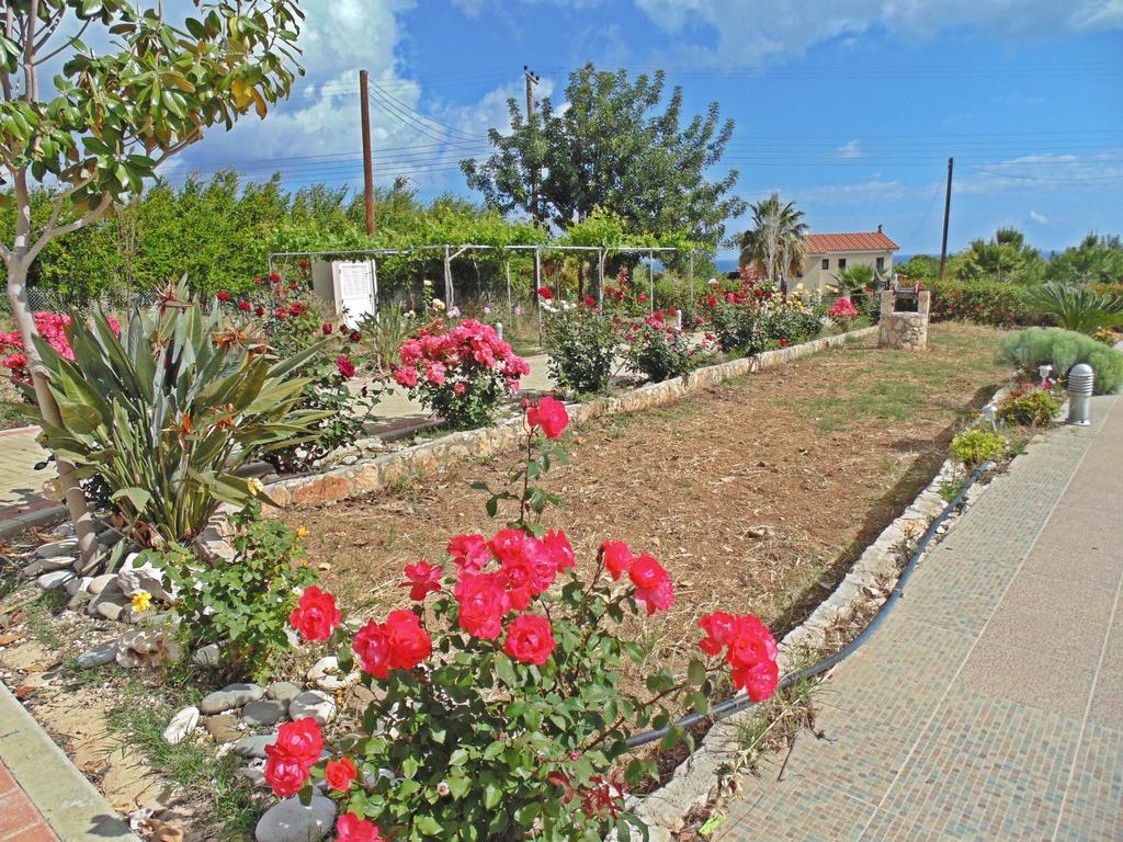 Eliofos Luxury Villa Polis Dış mekan fotoğraf