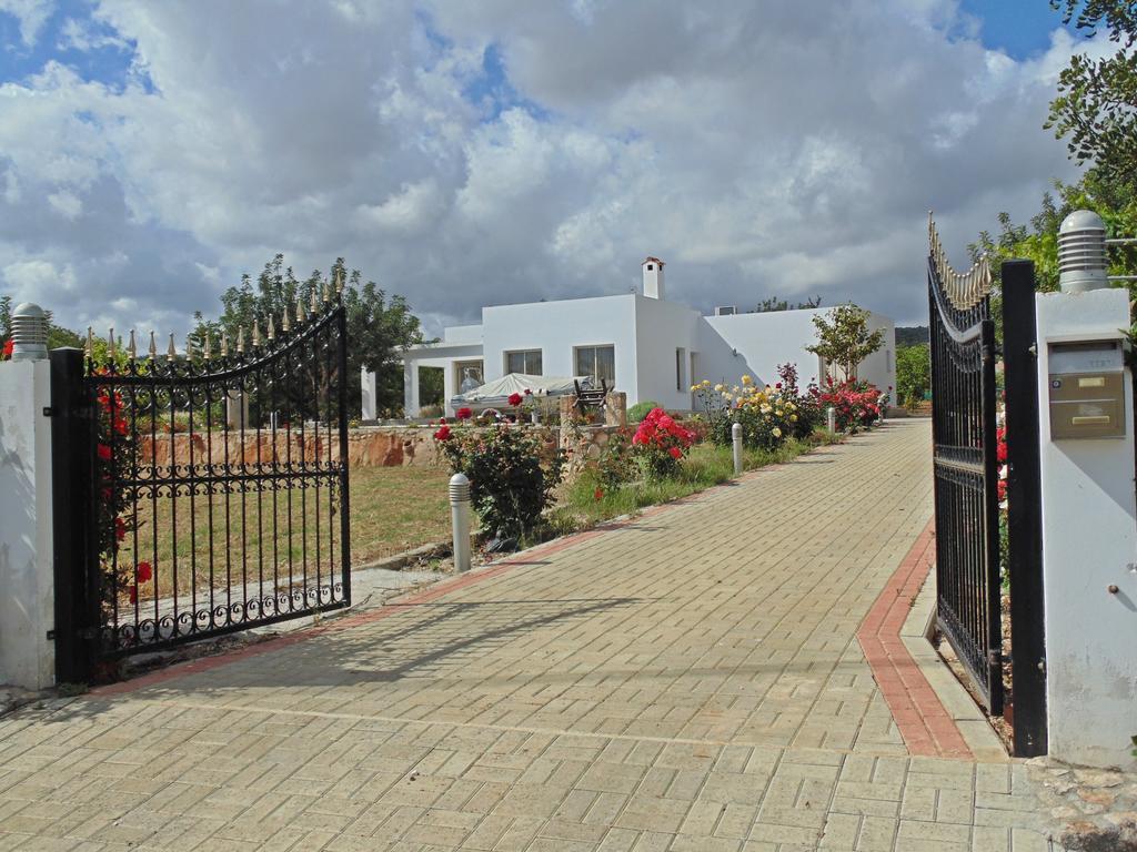 Eliofos Luxury Villa Polis Dış mekan fotoğraf