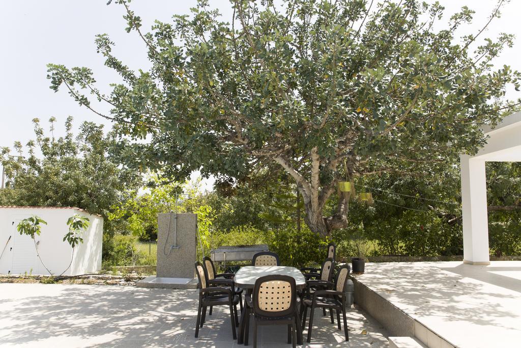 Eliofos Luxury Villa Polis Dış mekan fotoğraf